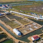 Alquiler de Carpas a Dos Aguas Delta Birding Festival Alquiler de Carpas a Dos Aguas Delta Birding Festival