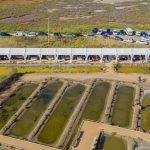 Alquiler de Carpas a Dos Aguas Delta Birding Festival Alquiler de Carpas a Dos Aguas Delta Birding Festival