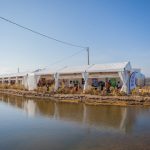 Alquiler de Carpas a Dos Aguas Delta Birding Festival Alquiler de Carpas a Dos Aguas Delta Birding Festival