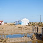 Alquiler de Carpas 3x3 Delta Birding Festival Alquiler de Carpas 3x3 Delta Birding Festival
