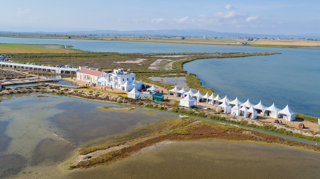 Alquiler de Carpas para Ferias: Delta Birding Festival