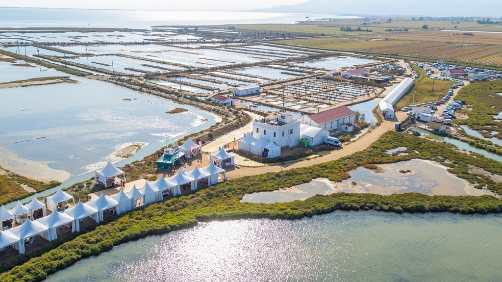 Alquiler de Jaimas Delta Birding Festival