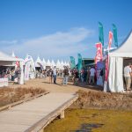 Alquiler de Jaimas Delta Birding Festival Alquiler de Jaimas Delta Birding Festival
