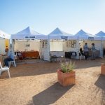 Alquiler de Jaimas Delta Birding Festival Alquiler de Jaimas Delta Birding Festival